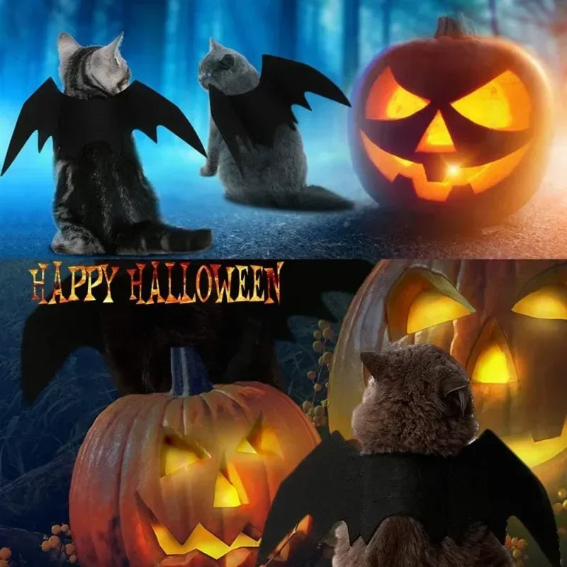 Alitas de Murciélago para Mascota – Accesorio Halloween