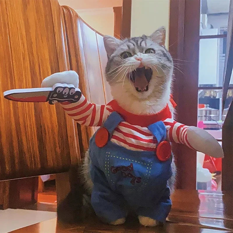 Mono Disfraz Halloween para Gatos y Perros Pequeños