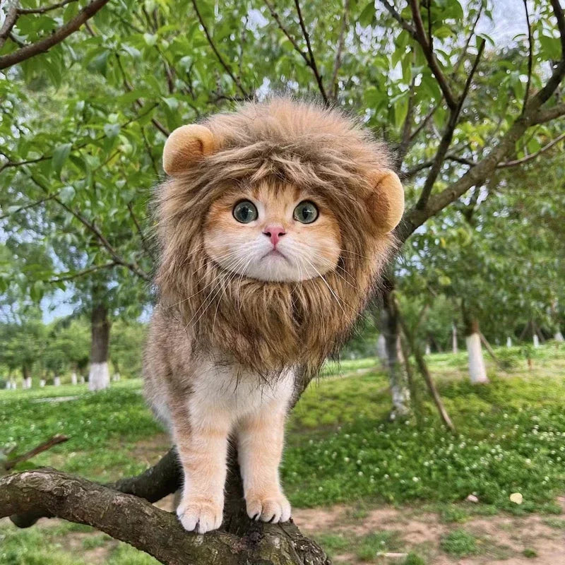 Peluca Melena de León para Mascota – Disfraz Halloween